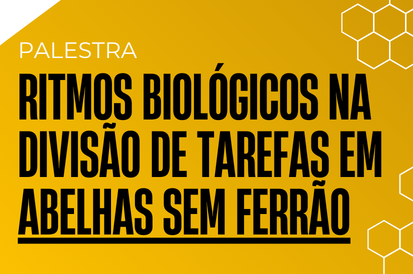 abelhas sem ferrao