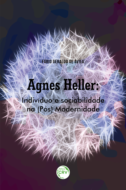 capa do livro fabio menor ok