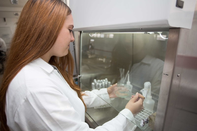 ciencias biologias interna 2