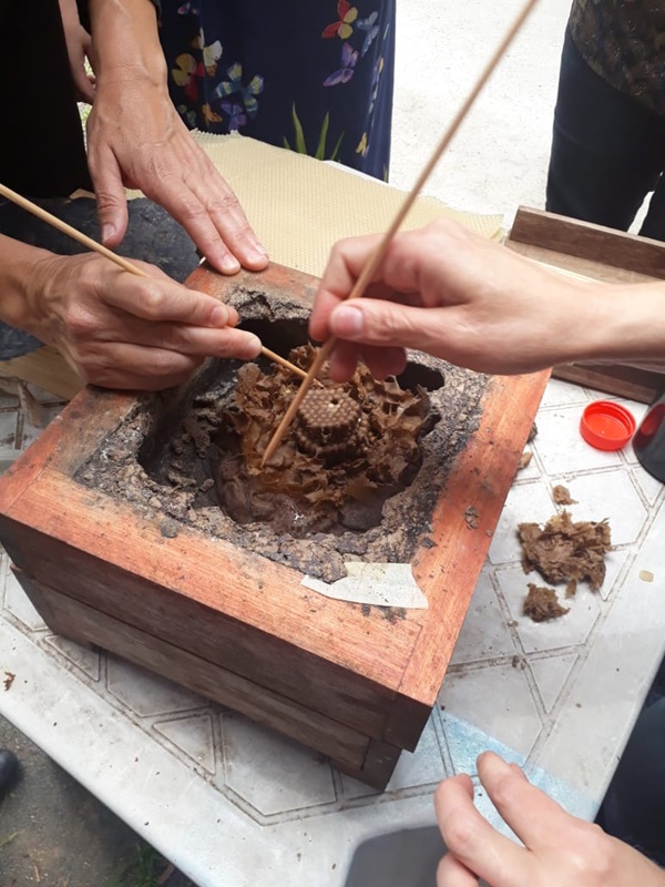 meliponario 3 b