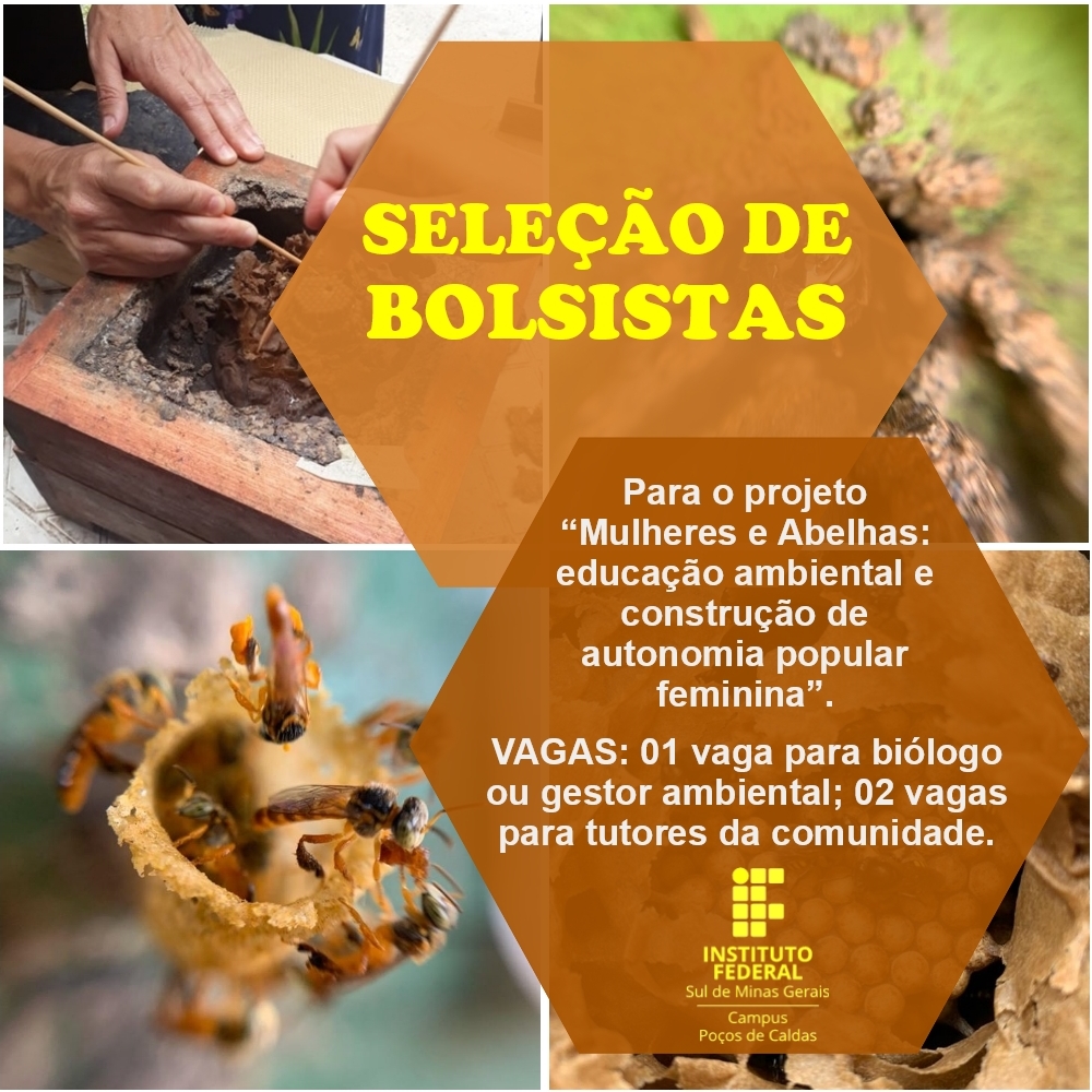 curso abelhas selecao bolsistas