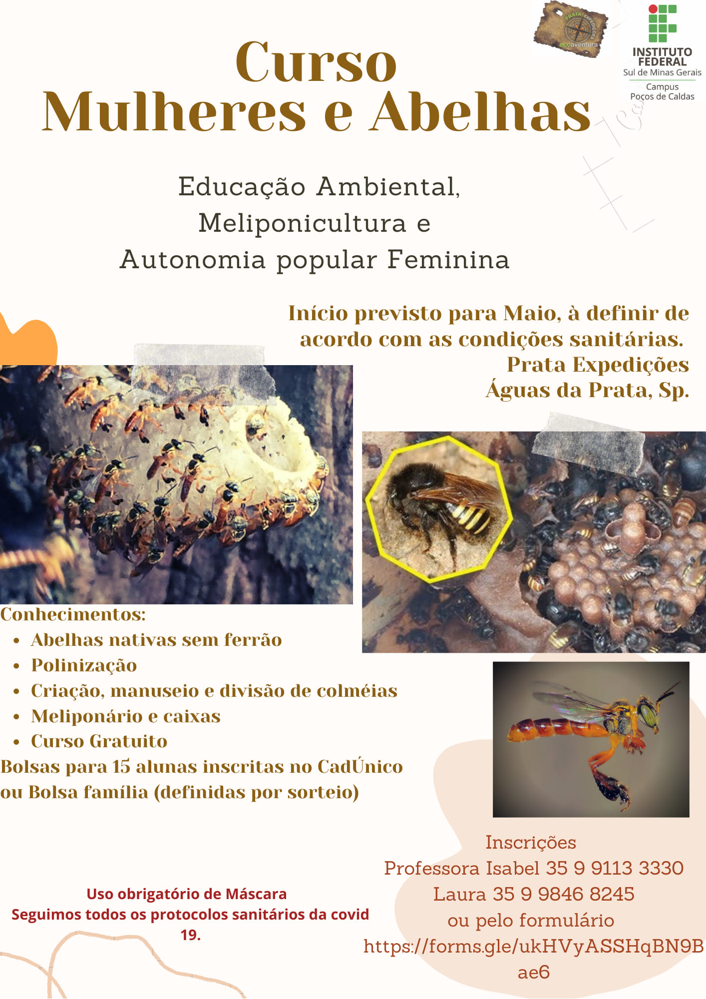 curso abelhas
