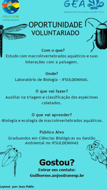 Captura de tela 2023 08 30 092915