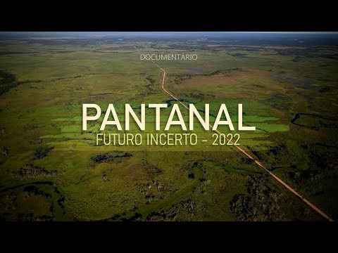 pntanal futuro incerto