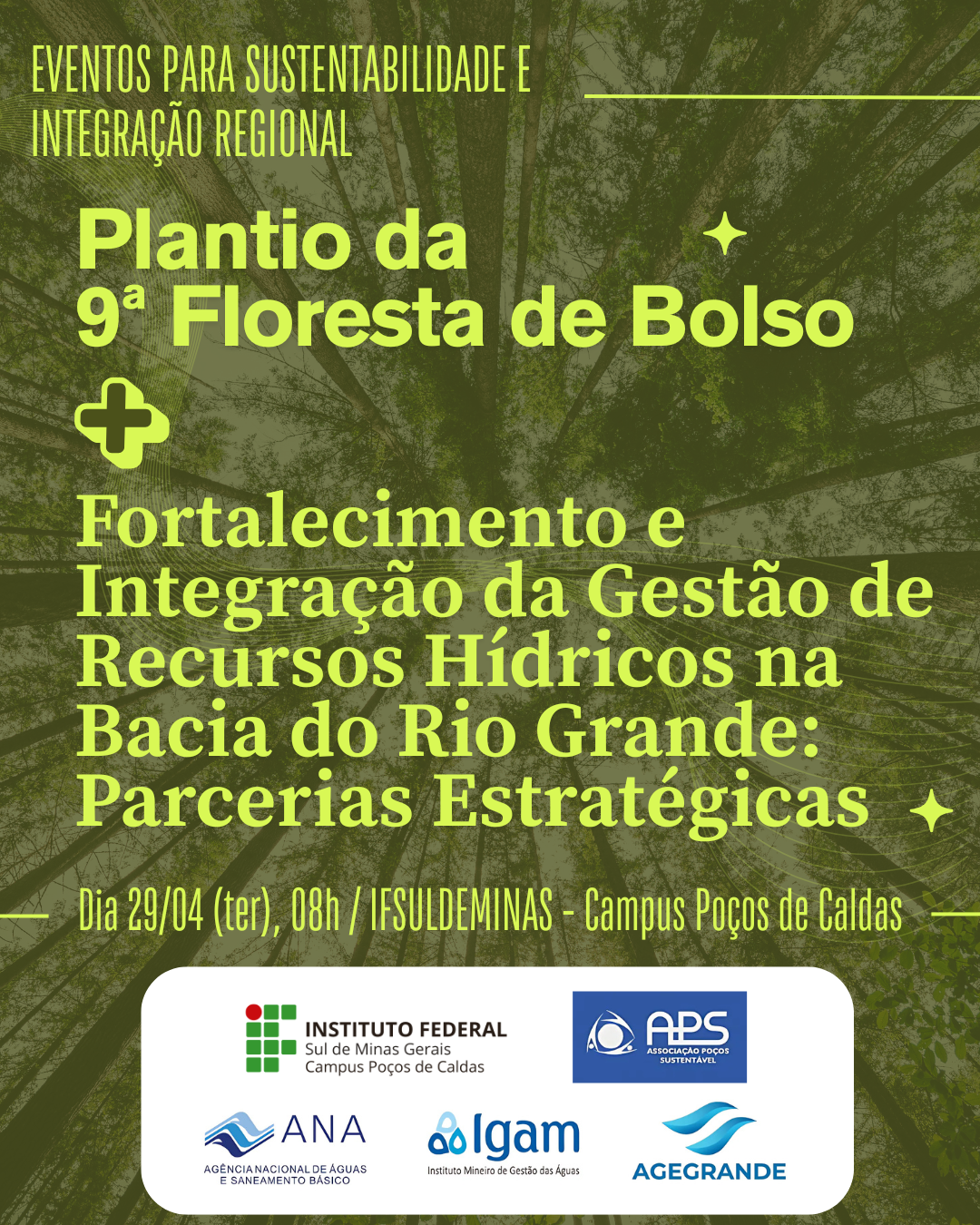 floresta bolso