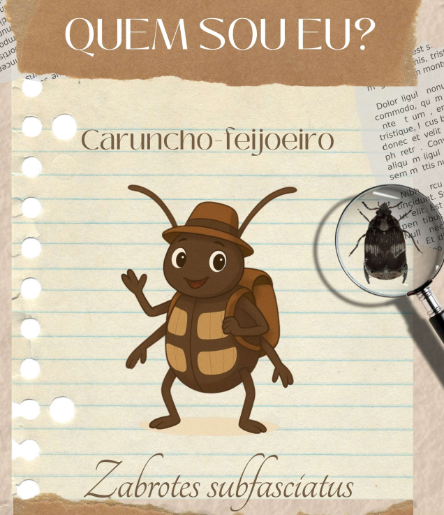 Captura de tela 2026 01 16 144742